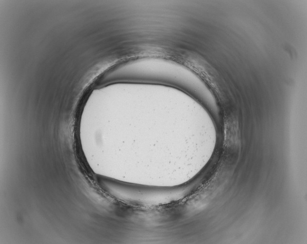 X0000110710436200907241149