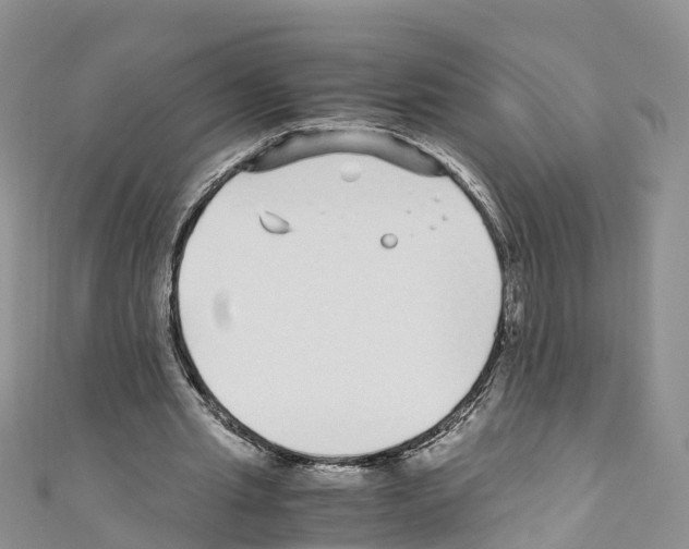 X0000110710437200907241149
