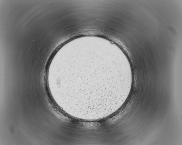 X0000110710439200907241149