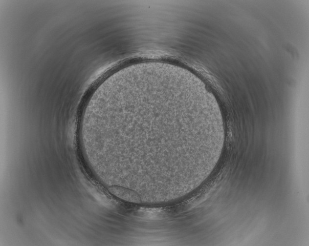 X0000110710440200907241149