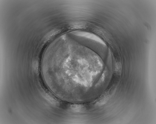 X0000110710444200907241149