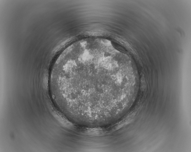 X0000110710446200907241149