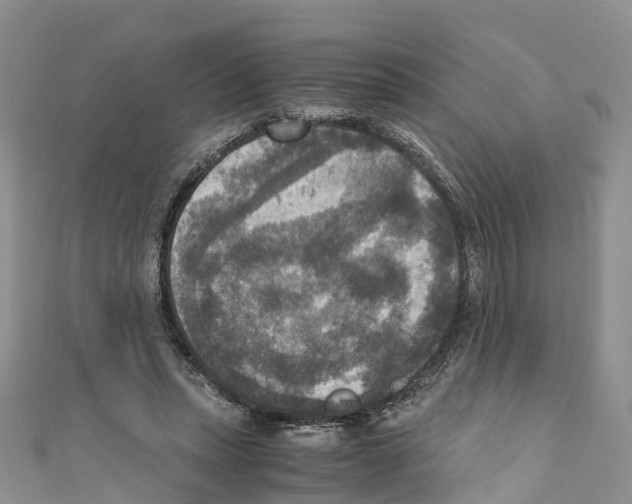 X0000110710447200907241149