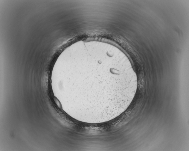 X0000110710448200907241149