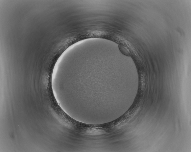 X0000110710451200907241149