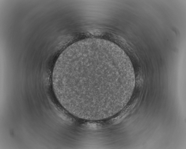 X0000110710464200907241149
