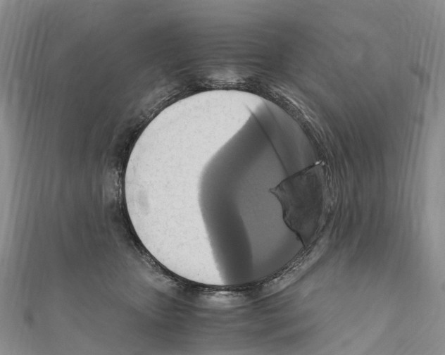 X0000110710467200907241149