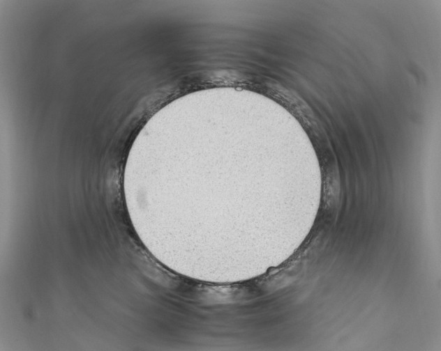 X0000110710473200907241149