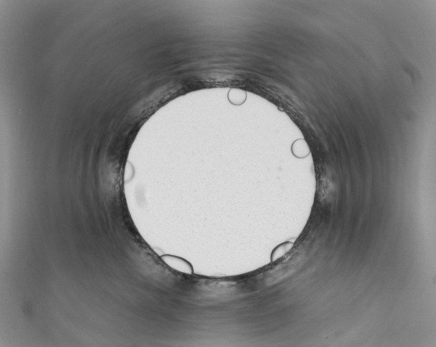 X0000110710476200907241149