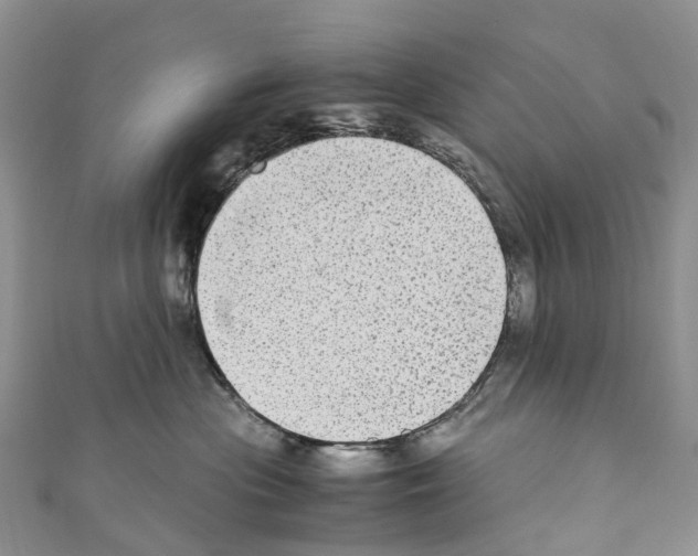 X0000110710477200907241149