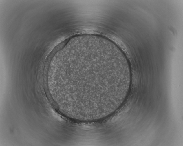 X0000110710481200907241149