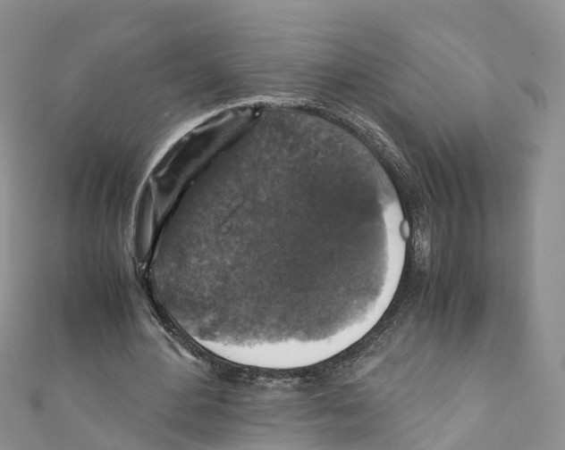 X0000110710484200907241149