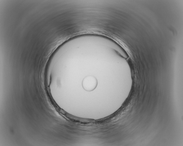 X0000110710485200907241149