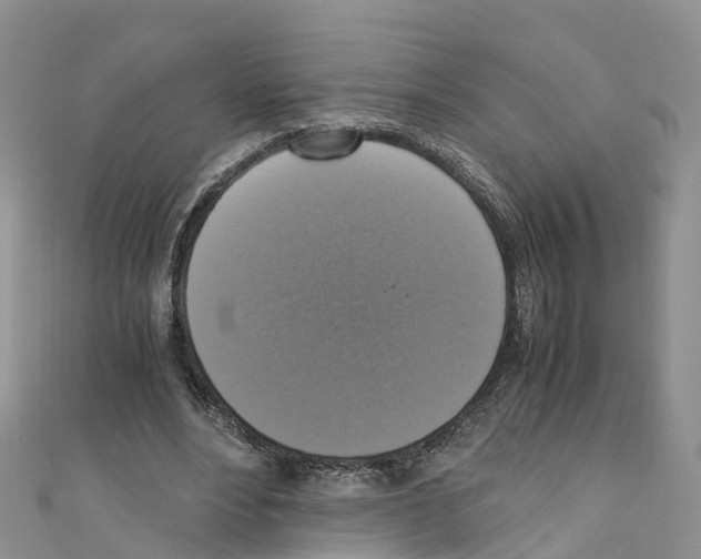 X0000110710488200907241148