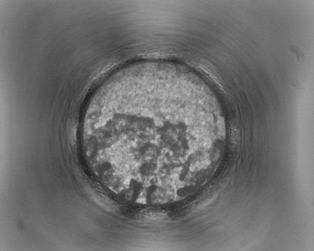 X0000110710491200907241148