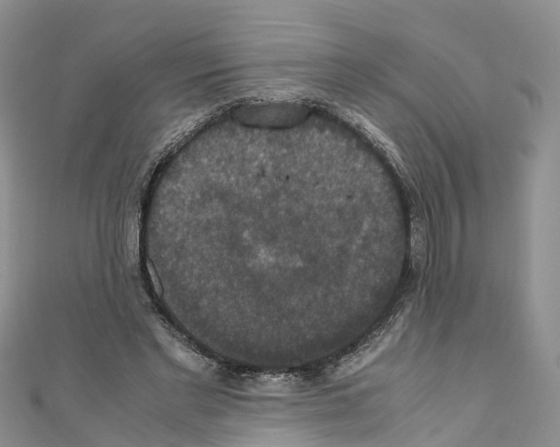 X0000110710493200907241148