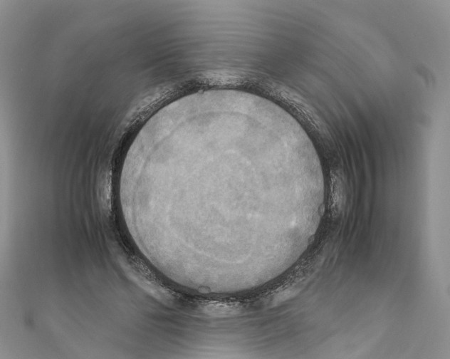 X0000110710494200907241148