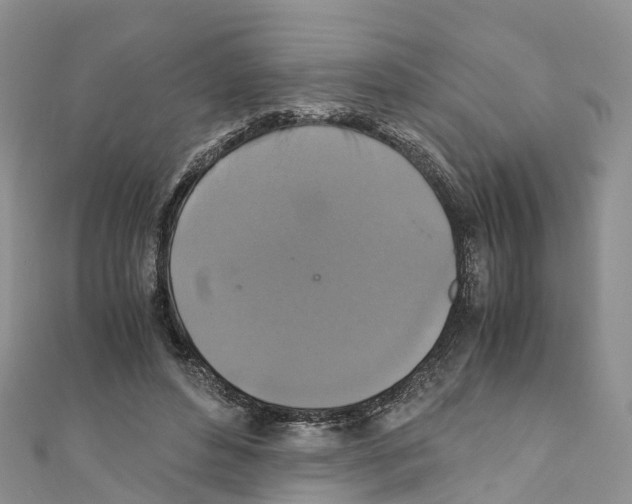 X0000110710496200907241148