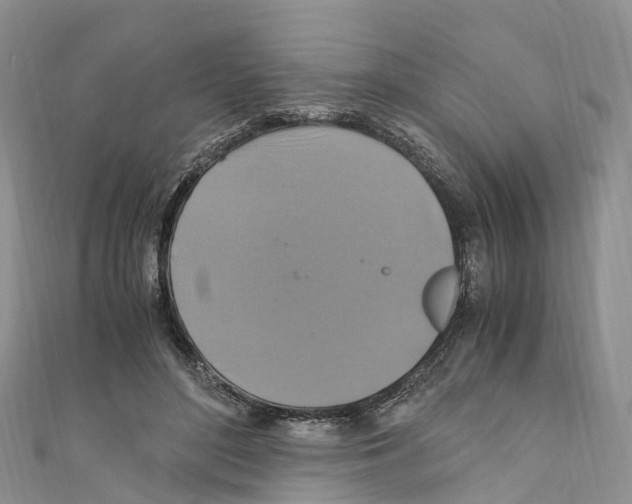 X0000110710500200907241148