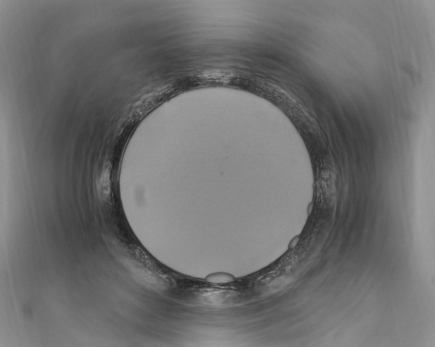 X0000110710504200907241148