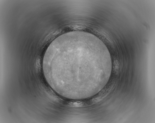 X0000110710506200907241148