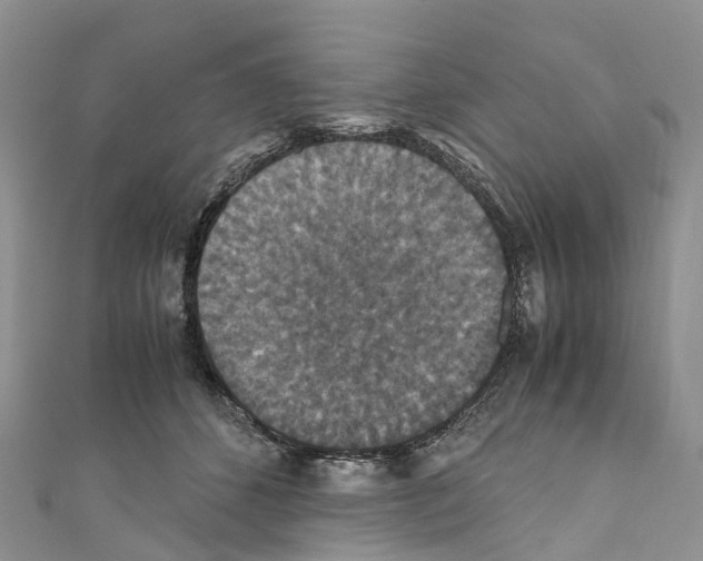 X0000110710512200907241148