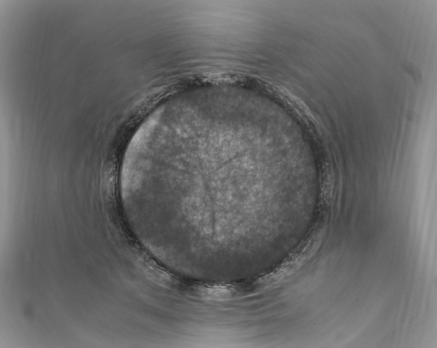 X0000110710513200907241148