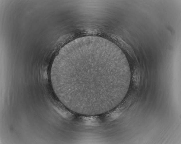 X0000110710516200907241148