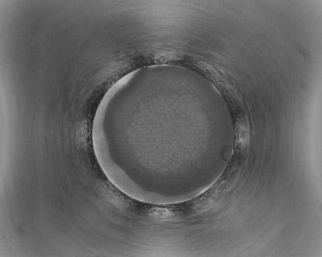 X0000110710519200907241148