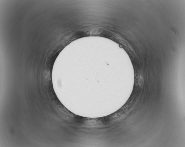X0000110710521200907241148