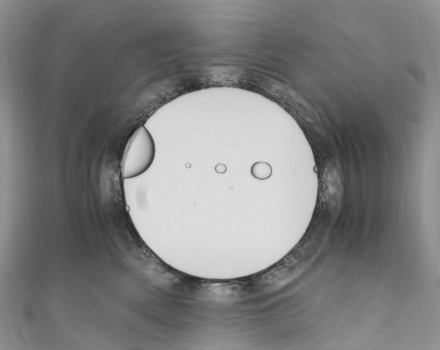 X0000110710522200907241148