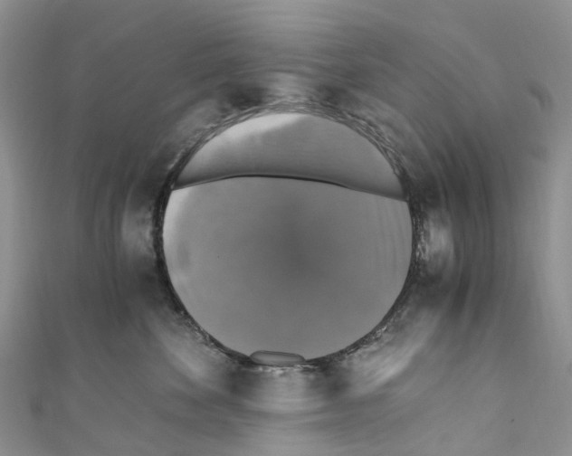X0000110710524200907241148