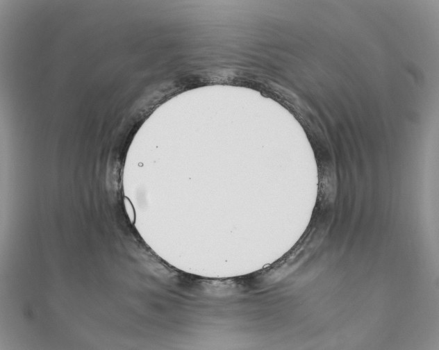 X0000110710525200907241148