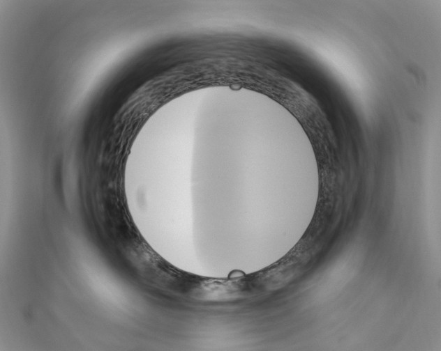 X0000110710526200907241148