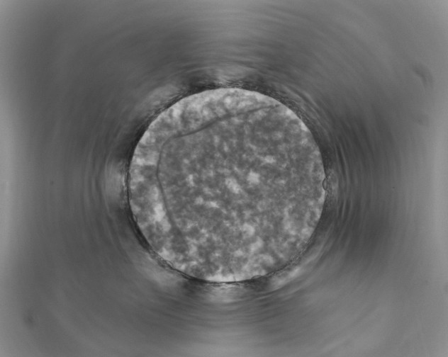 X0000110710527200907241148