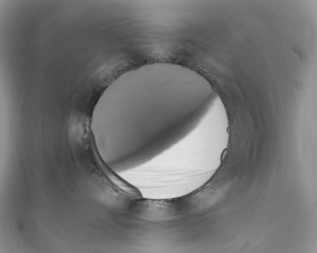 X0000110710528200907241148