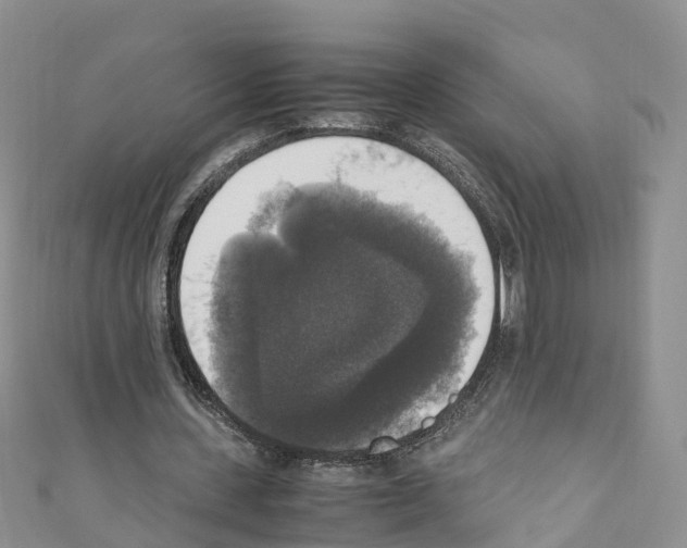 X0000110710531200907241147