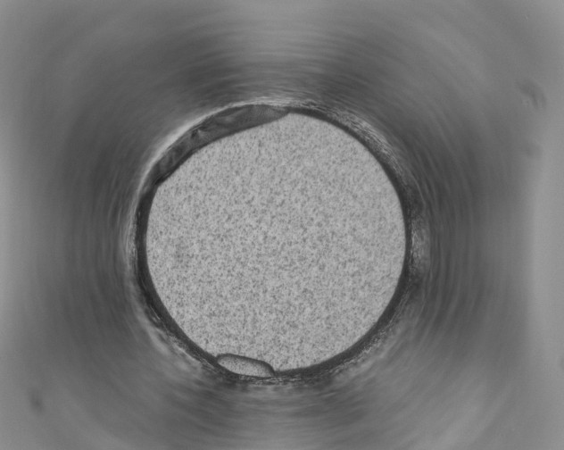 X0000110710532200907241147