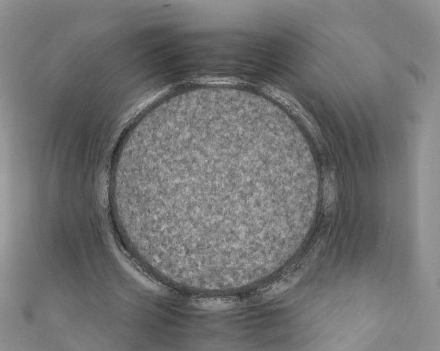 X0000110710533200907241147
