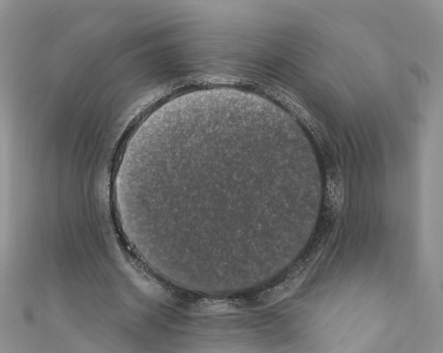 X0000110710534200907241147