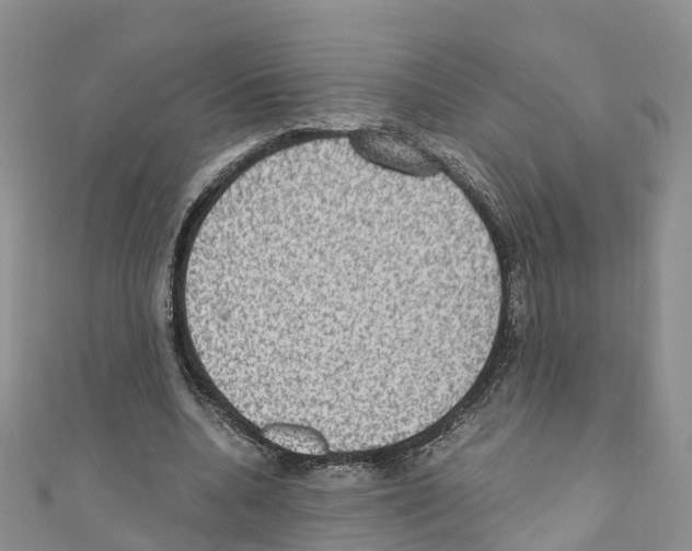 X0000110710536200907241147