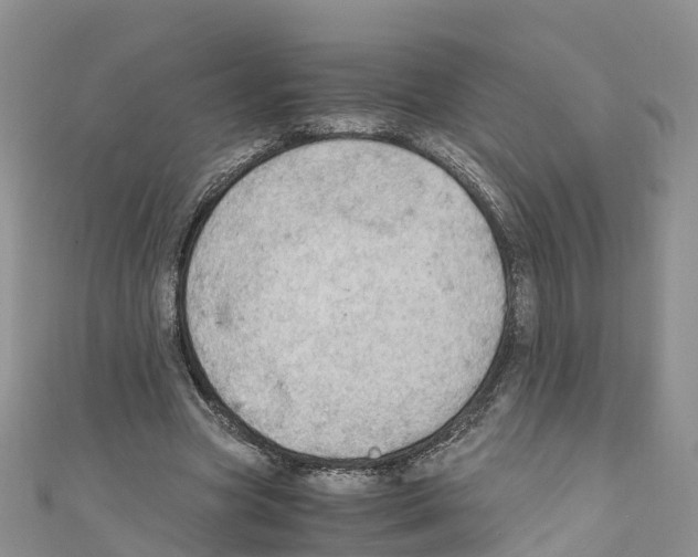 X0000110710537200907241147