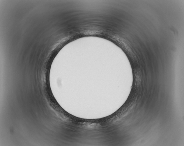 X0000110710539200907241147