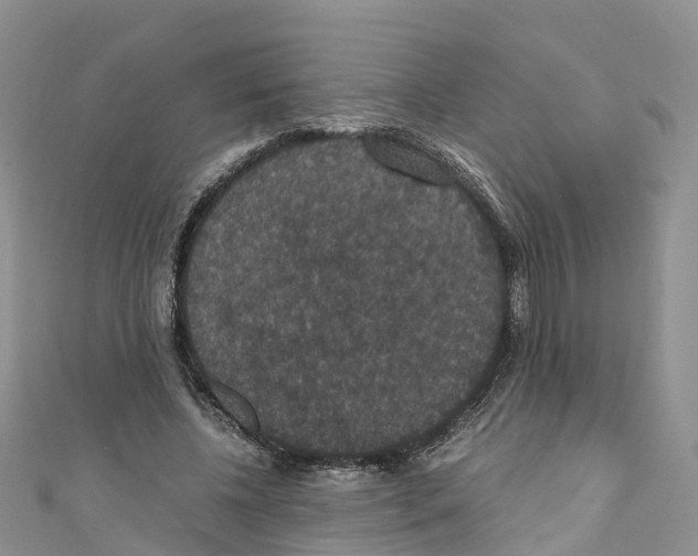 X0000110710540200907241148