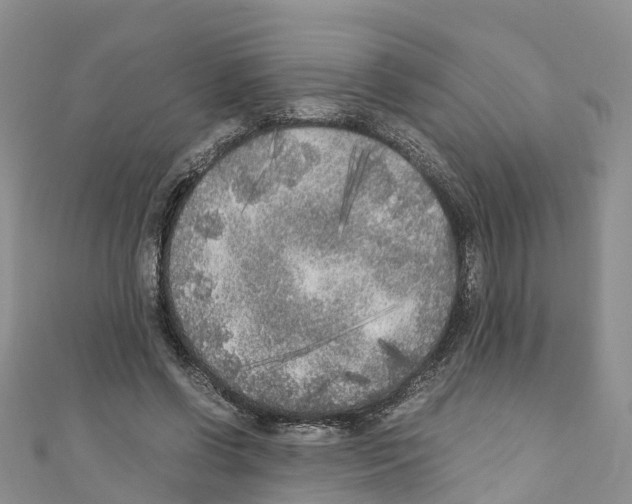X0000110710542200907241148
