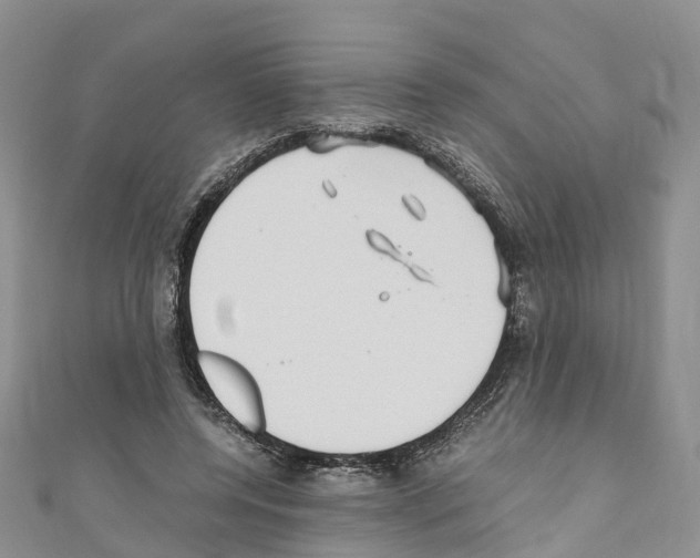 X0000110710544200907241148