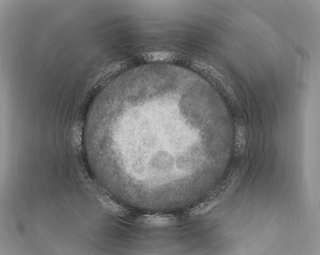 X0000110710545200907241148