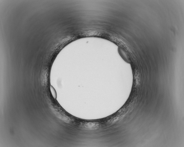 X0000110710546200907241148