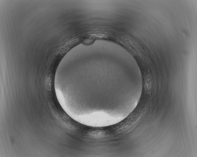 X0000110710551200907241148