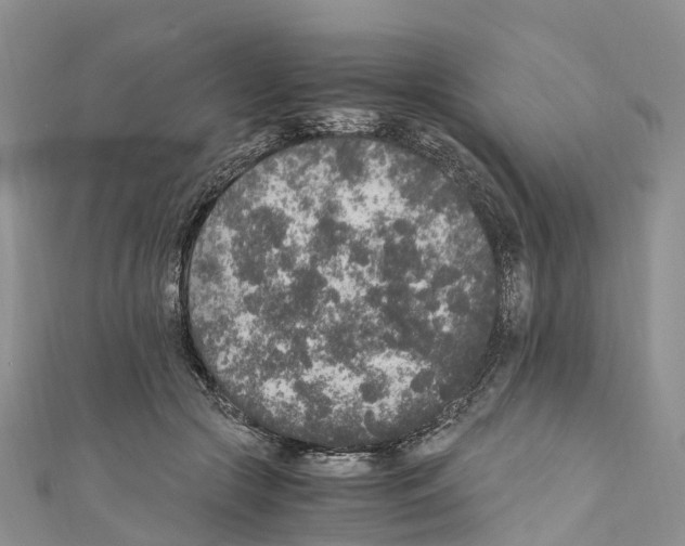 X0000110710553200907241148